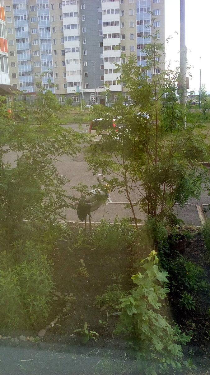 фото из моего окна