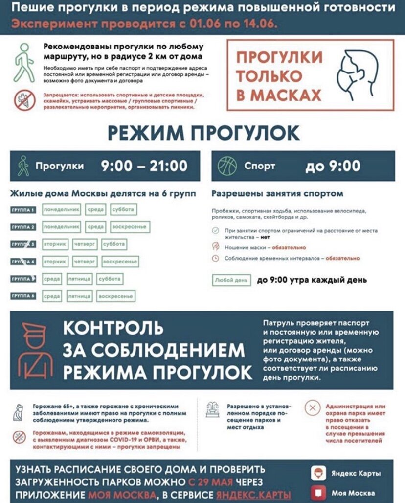 Прогулка по расписанию, а спорт до 9 утра - опять нововведения | Алена Русь  | Дзен