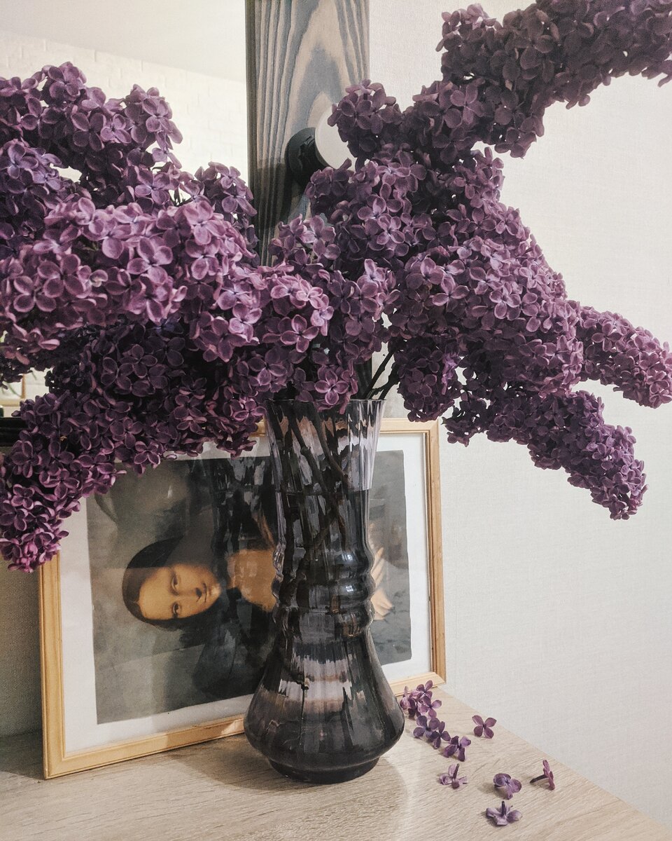 Букет из сирени обыкновенной