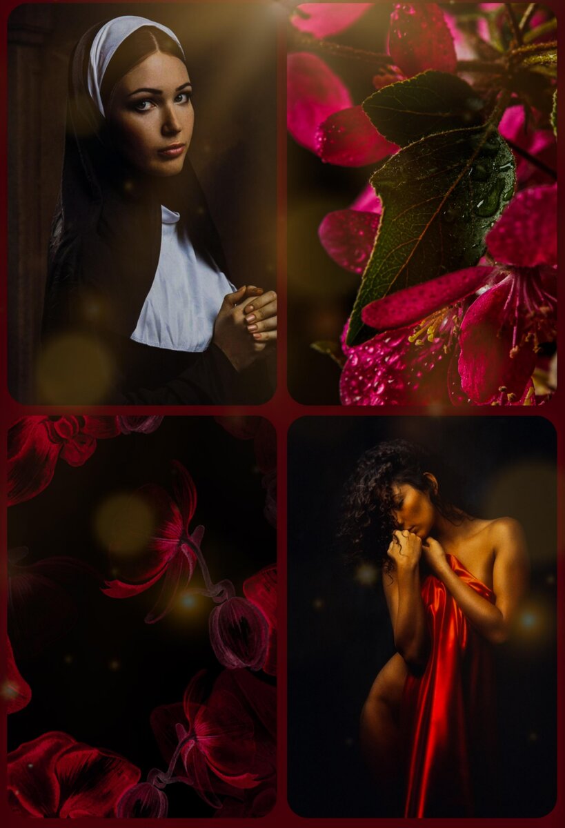 19 невест императора: кровь, отбор и другие нелепости 