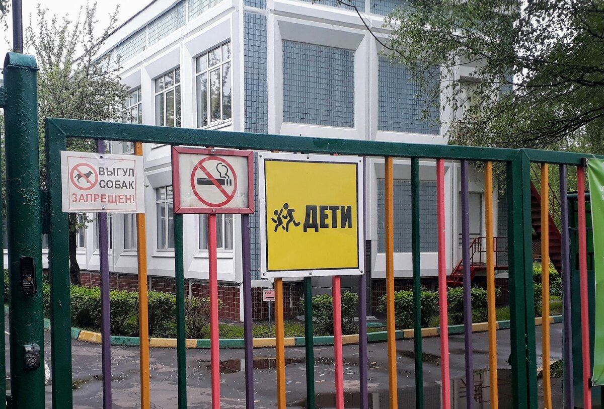 За забором дети. 