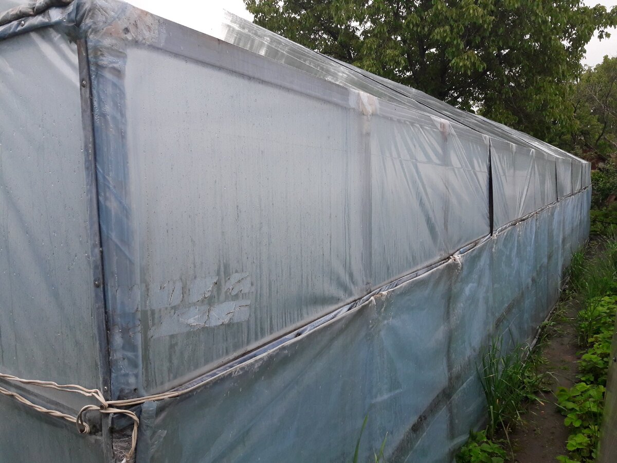 Самодельная пленочная теплица.