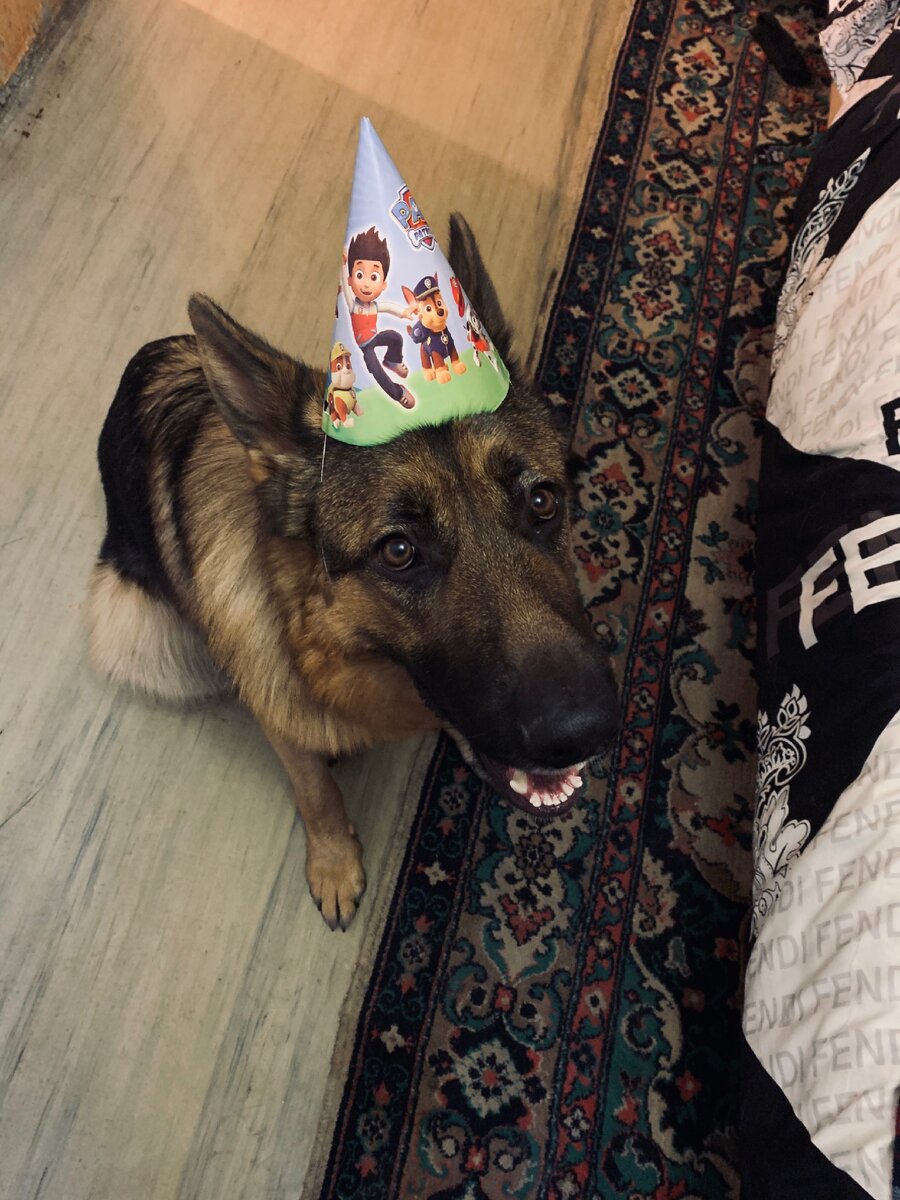 А здесь меня поздравляет мама с Днём Рождения. Мне исполнился 1 год😎