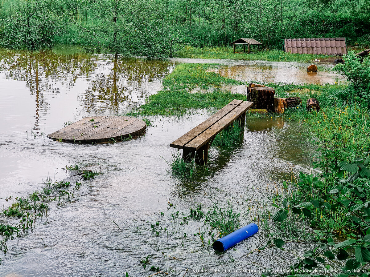 Дожди кончились, а вода осталась. Посмотрела что происходит рядом с дачей после ливней