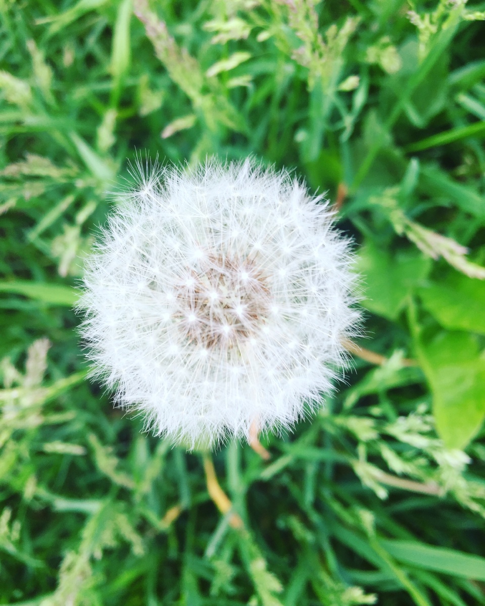 В лесу. Фото сделано автором.