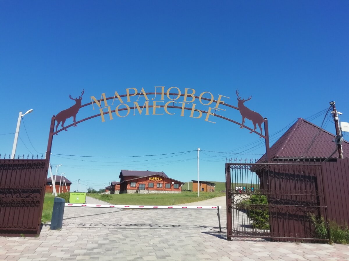 Мараловое поместье. вдали ресторан. Очень красивое здание, ещё красивее внутри. Но мы туда не попали. Как-нибудь мы съездим еще раз и я обязательно сниму побольше фото и внутреннее убранство ресторана и блюд. Издали здание не особенно видно. На входе шлагбаум, справа касса.