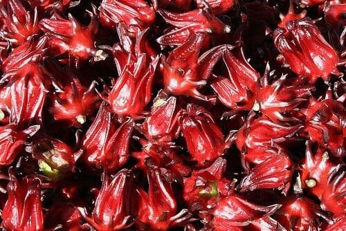 так выглядит сырье для каркаде