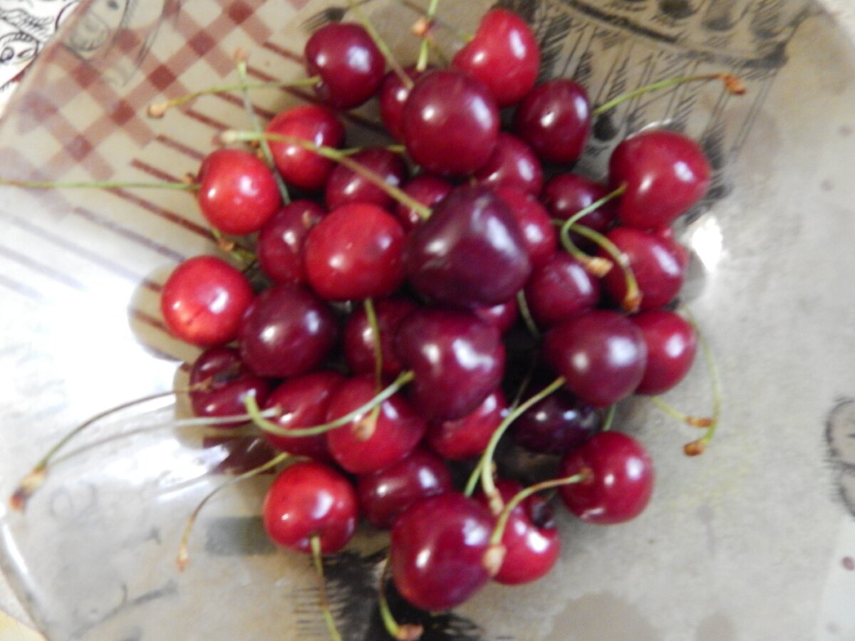 Полезная черешня