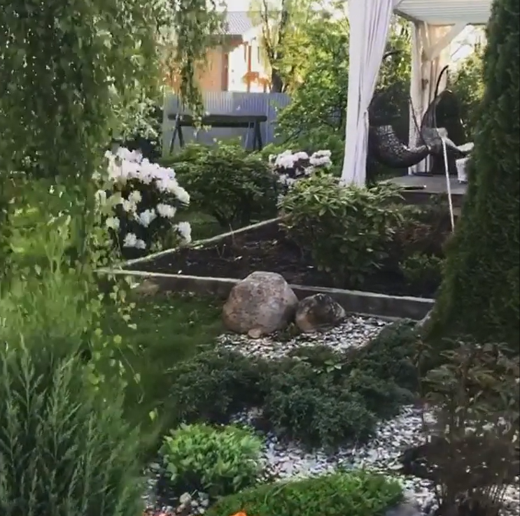 https://www.instagram.com/sotnikova4141/