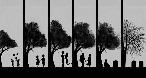 Есть ли у жизни хоть какой-то смысл, который объяснял бы все, через что проходит человек от момента рождения до смерти? (Яндекс картинки)