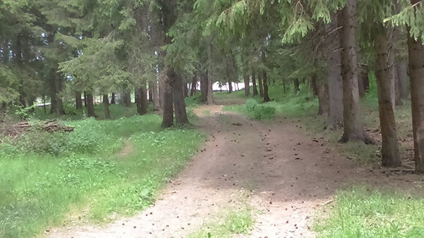 Можно совершать марш-броски на велосипеде, а можно просто гулять неспешно