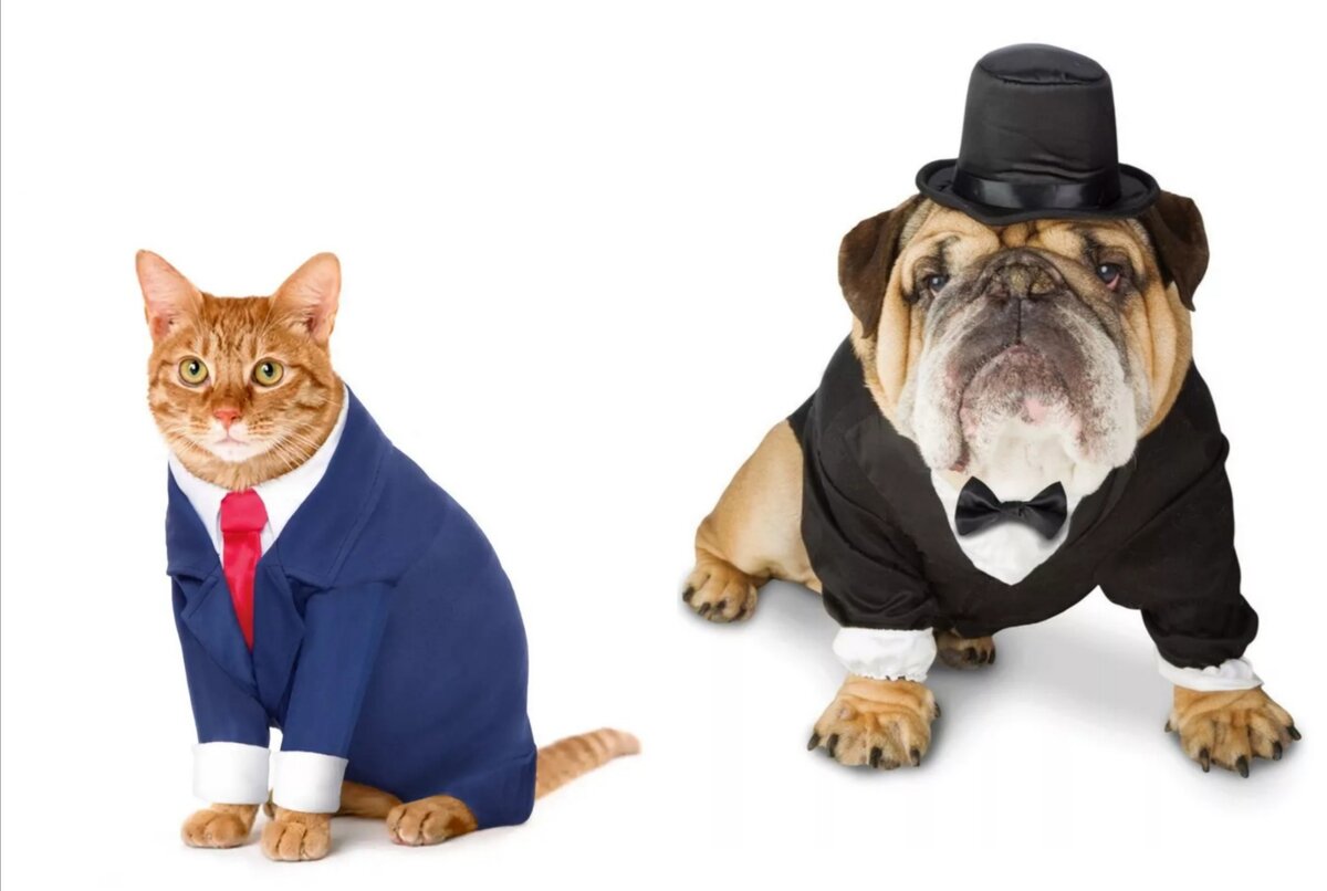 Из открытых источников