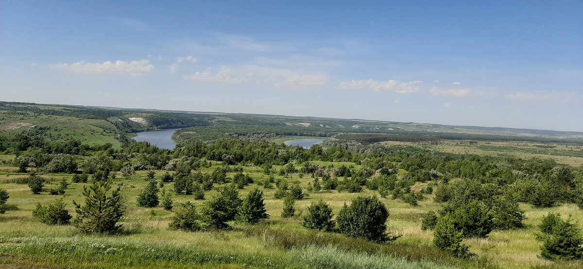 Дон