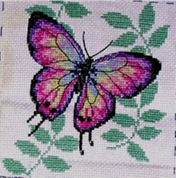 Фото автора.