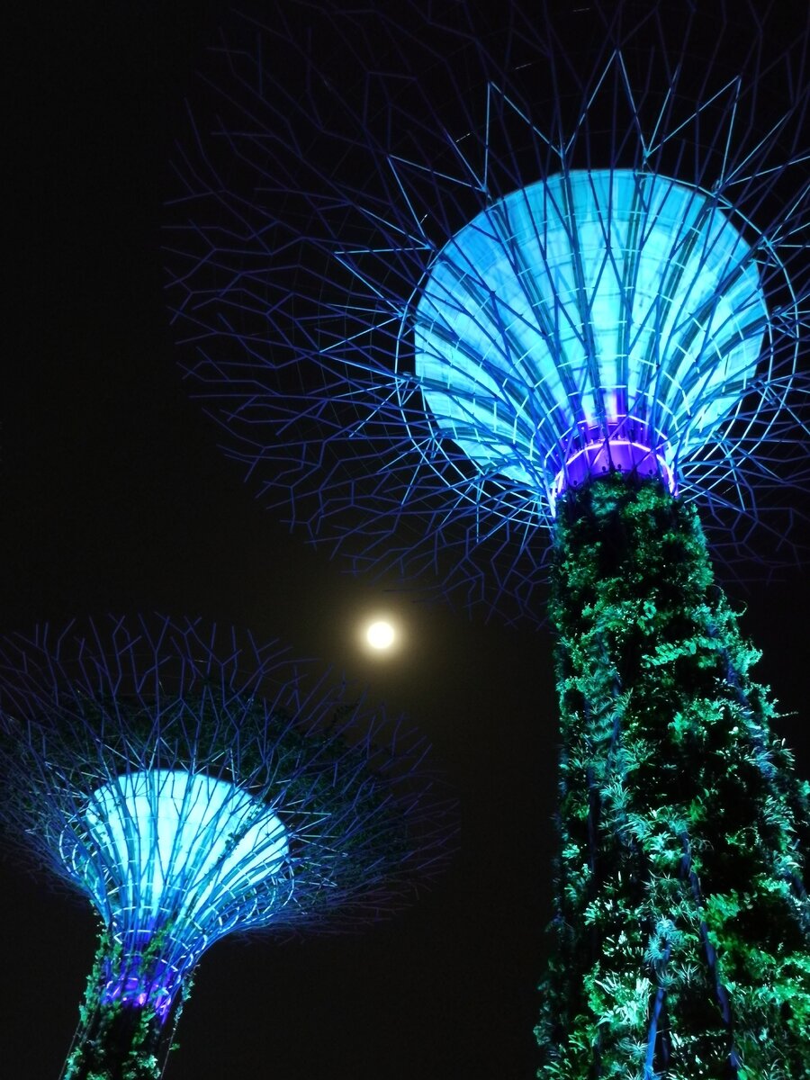 Тот самый знаменитый Garden By the Bay. Сочетание живого и искусственного.Было полнолуние и это добавило очарования