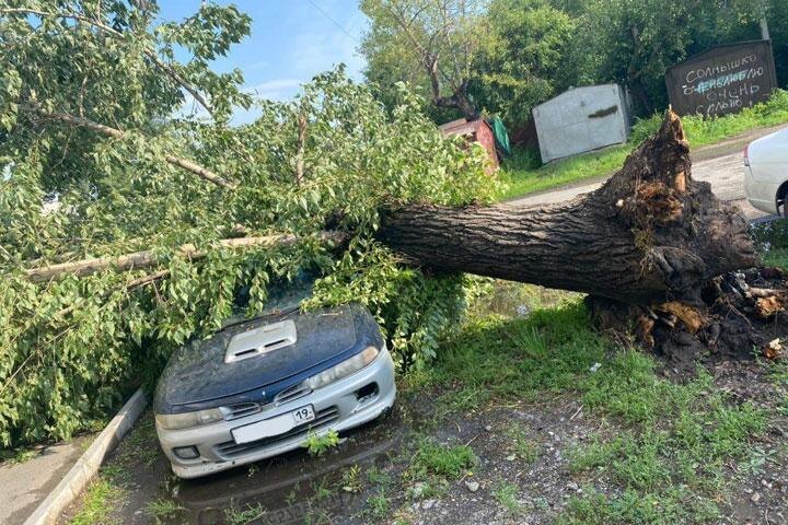 Фото: Инцидент Абакан, vk.com 