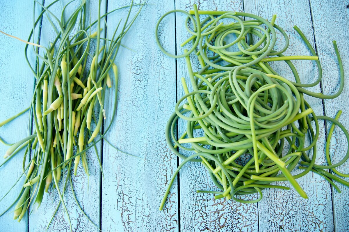 Отрежьте бутончики и выкиньте, а стрелки промойте.