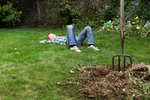 
Как упростить уход за садом и огородом
