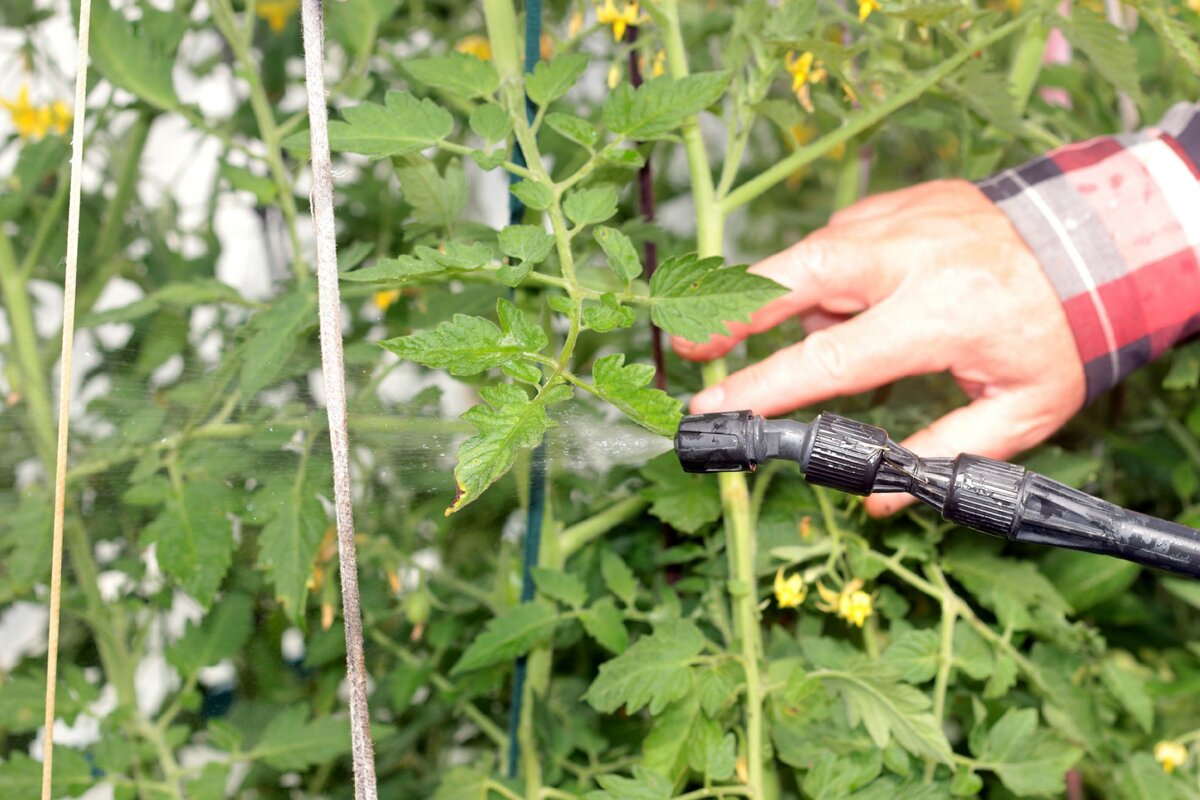 Опрыскивание по листу