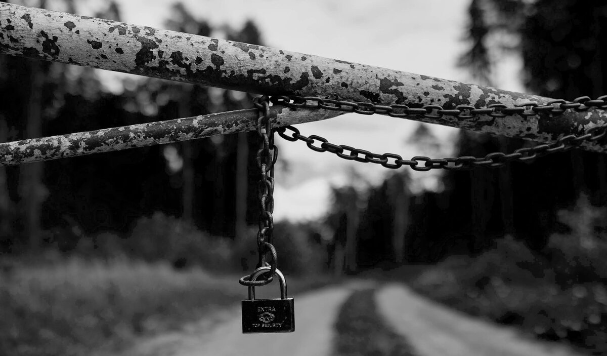 Фото: Wild Family 