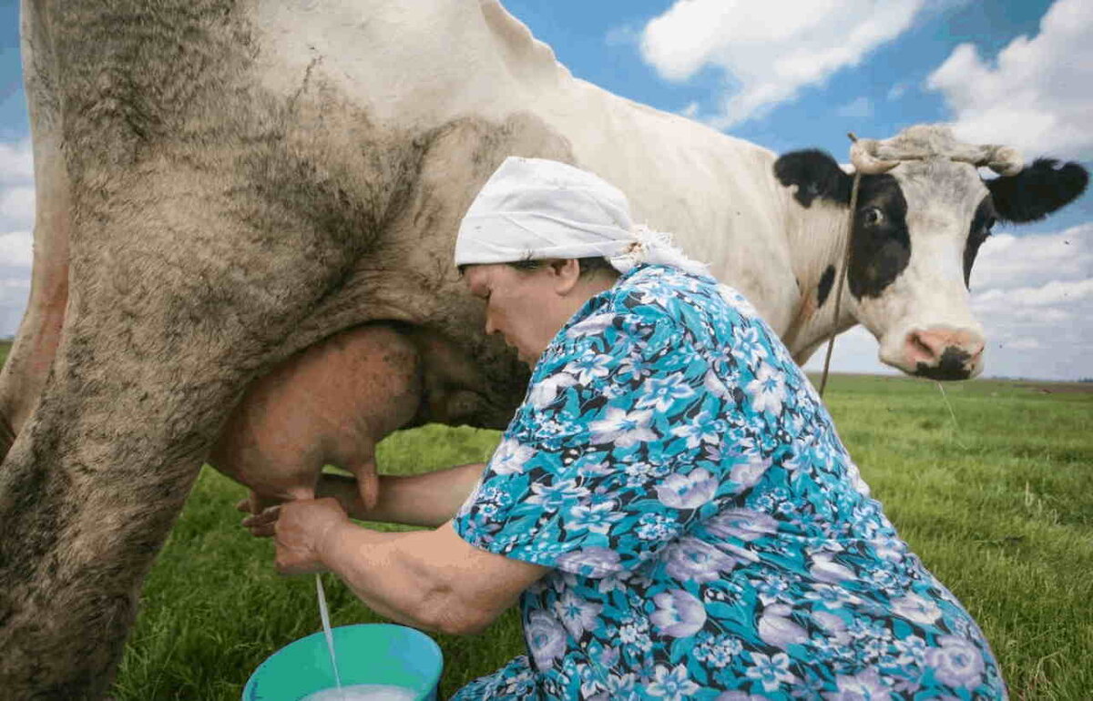 Фото: top10a.ru