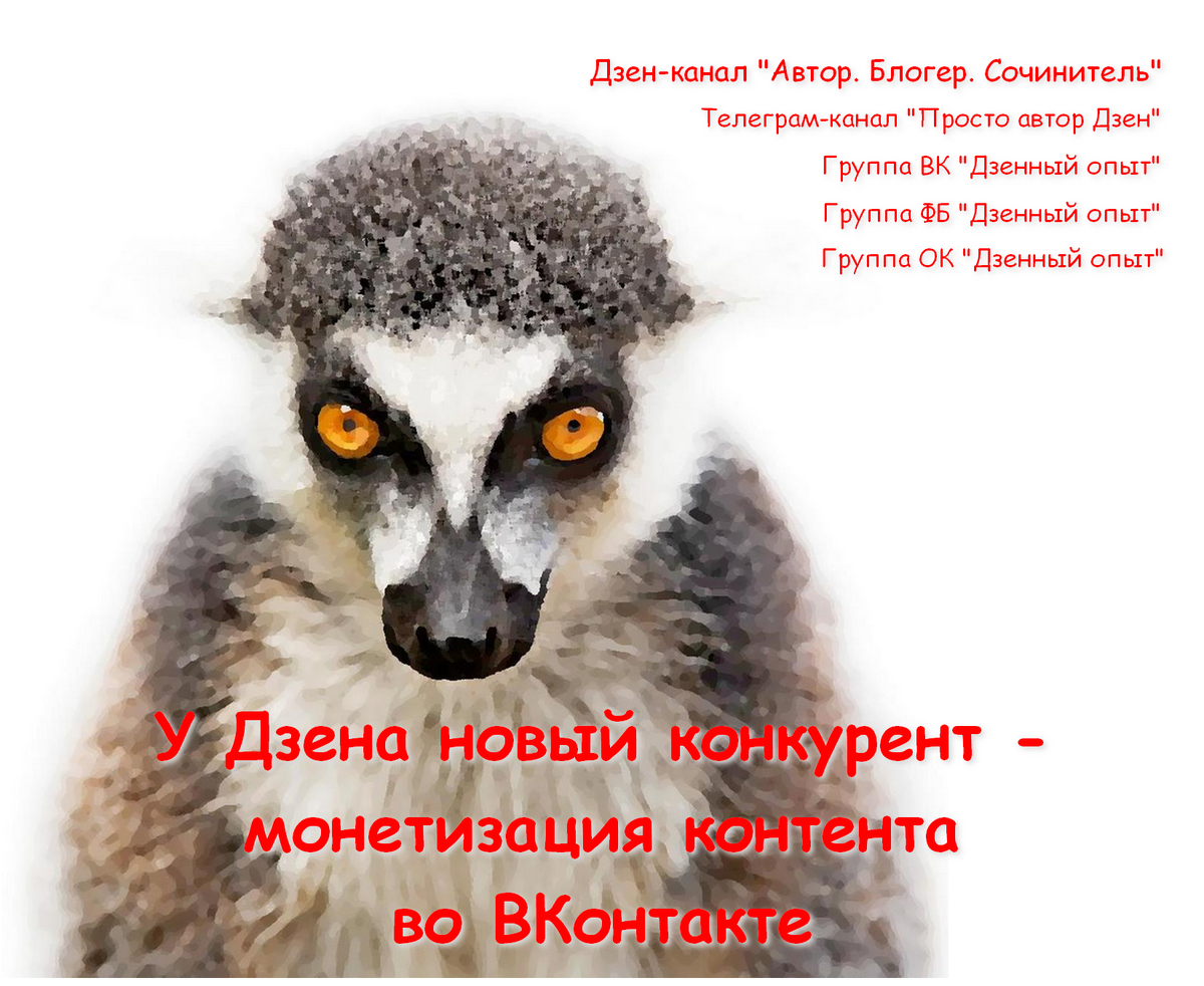 VK Donut - монетизация контента во ВКонтакте