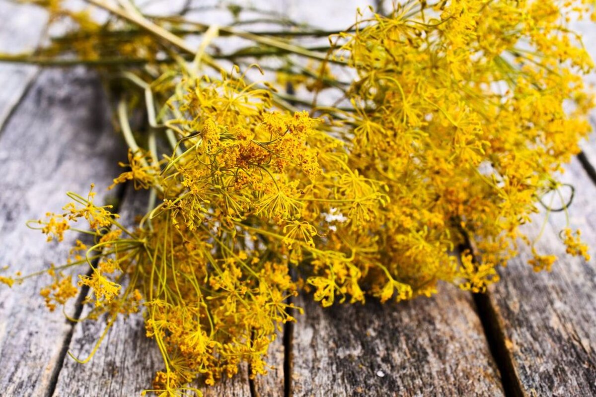 Источник: www.depositphotos.com 