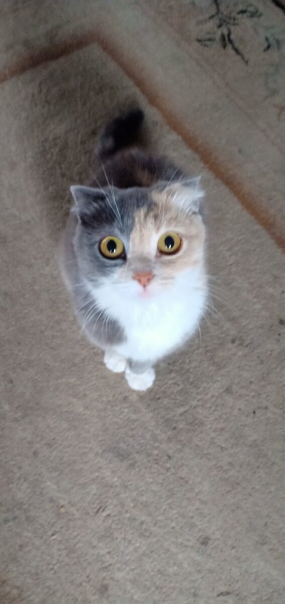 Глаза какие...