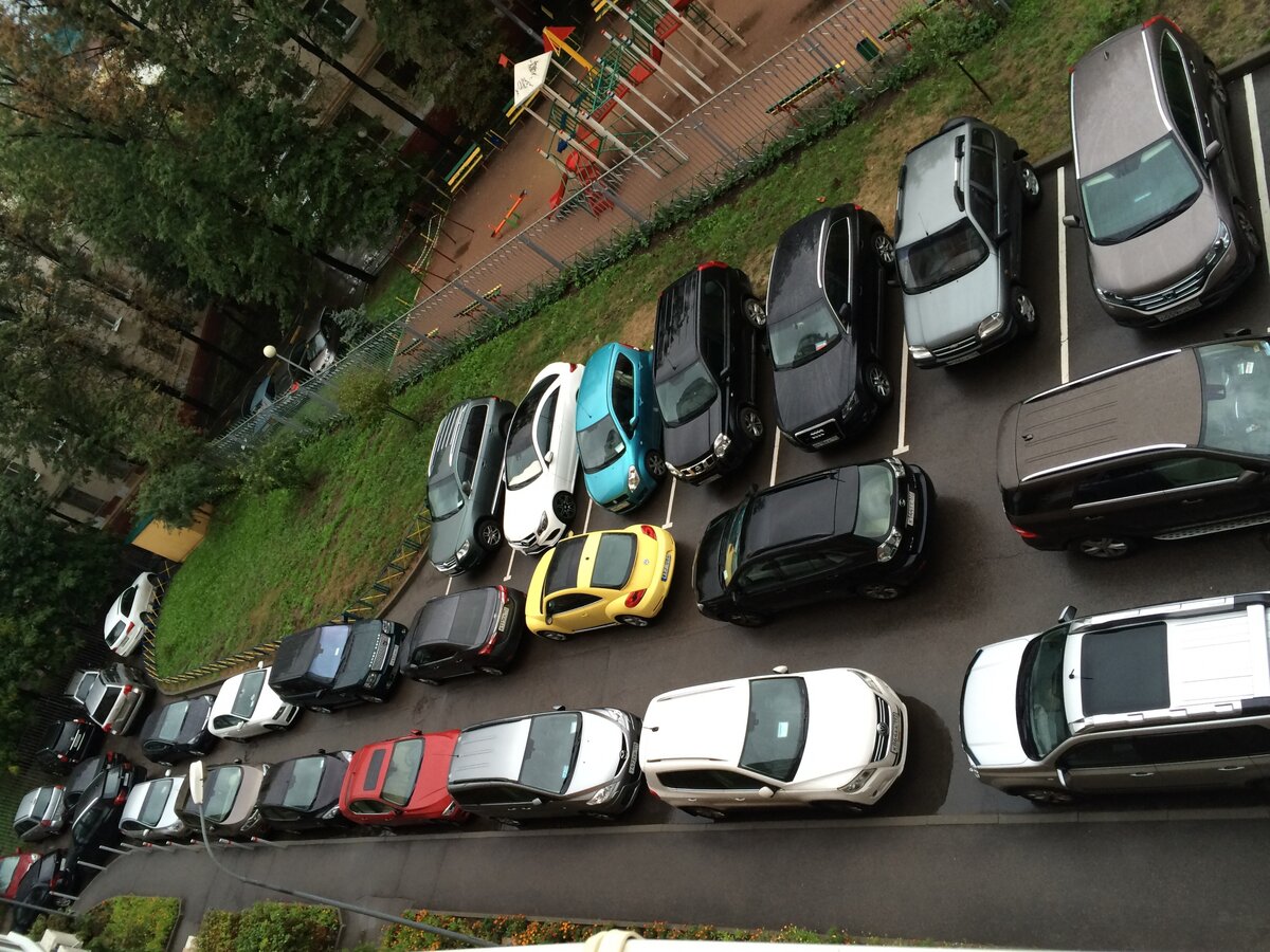 Фото: cdn.fishki.net