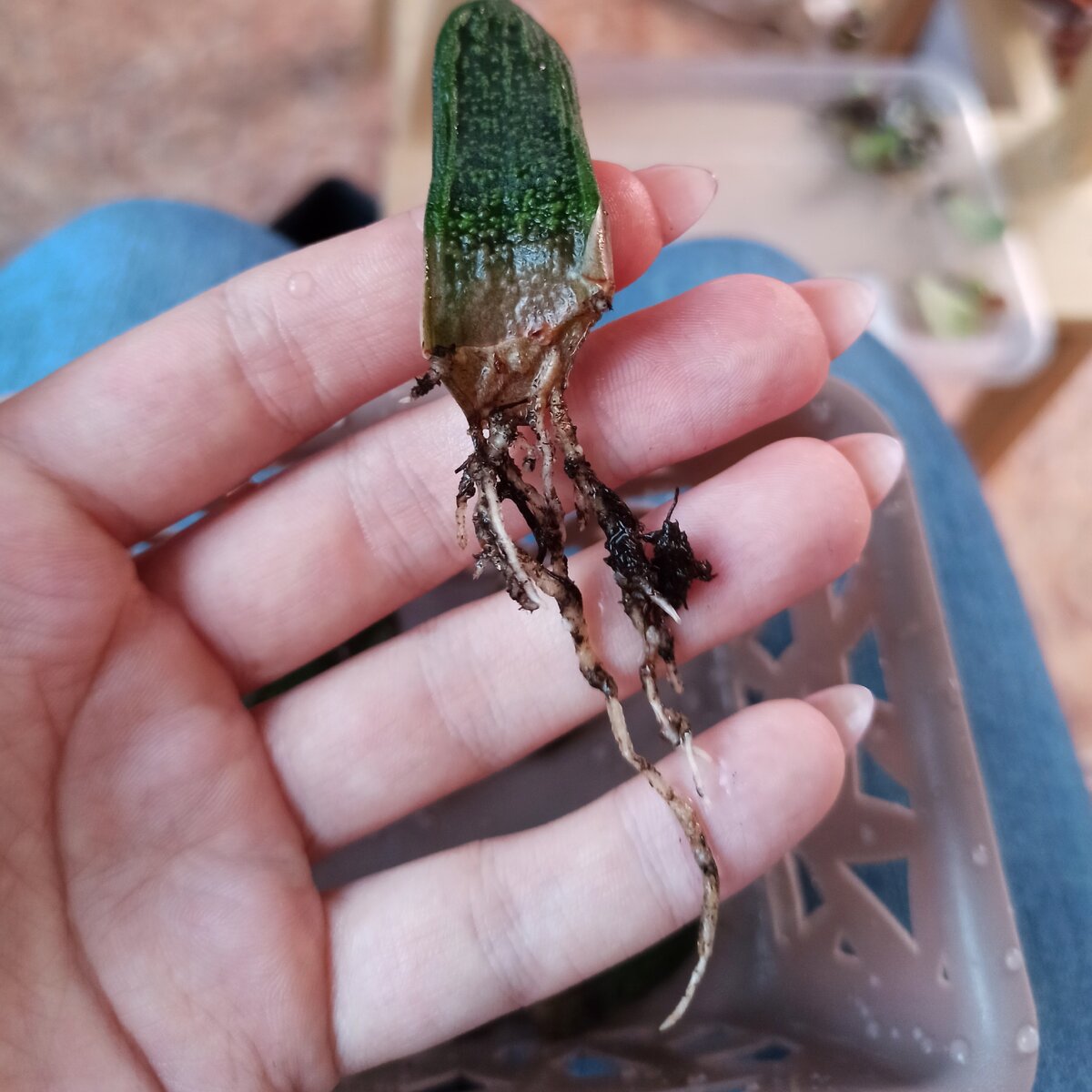 Фото от 24.10.2020