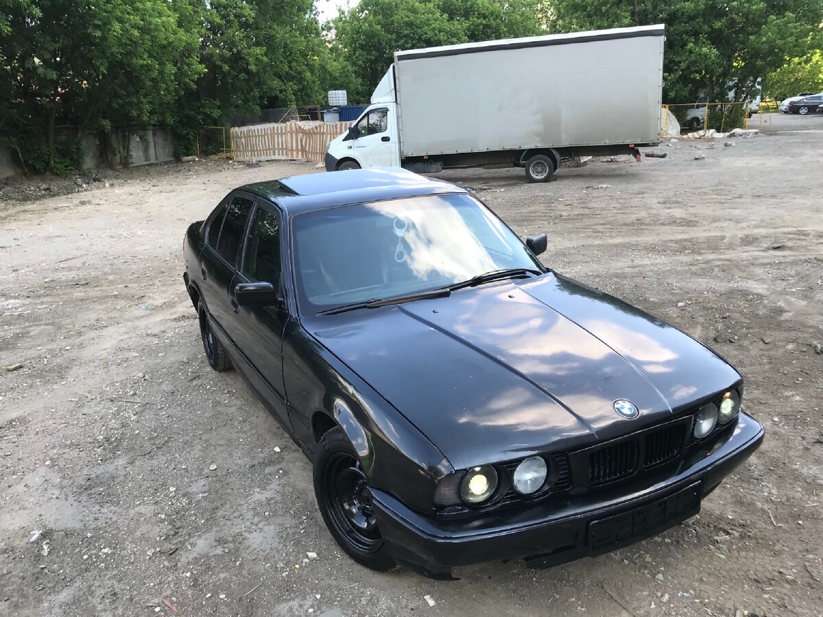 ну ведь красотка?