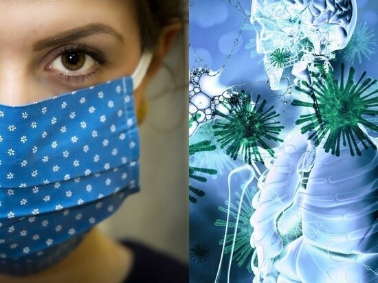 Фото - pixabay.com 