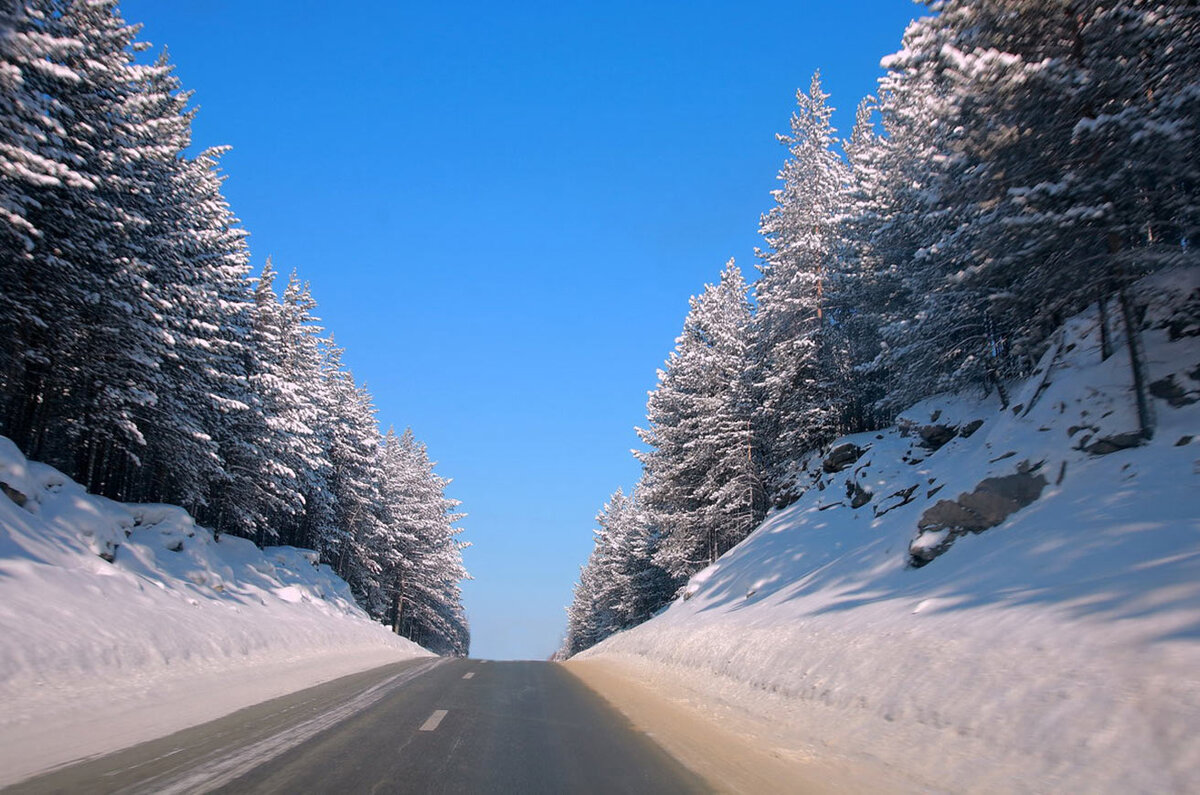 Дорога к дому.