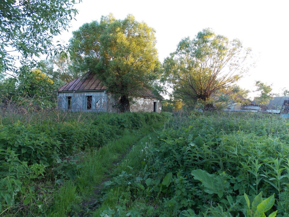 Деревня льгов. Деревня Курская область. Заброшенные деревни Хомутовский район Курская обл. Курская область села и деревни. Заброшенные села Курской области.