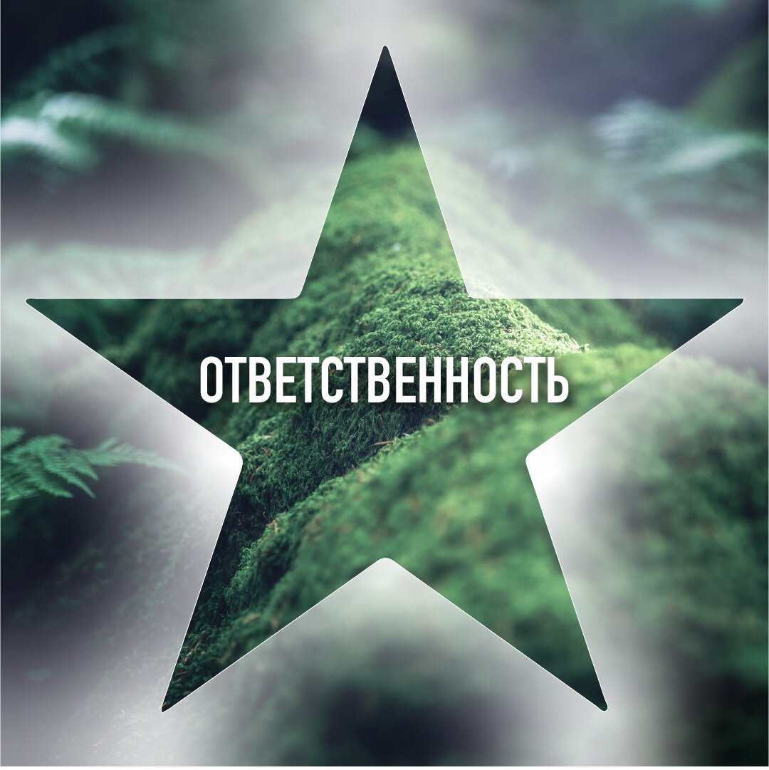 Ответственность