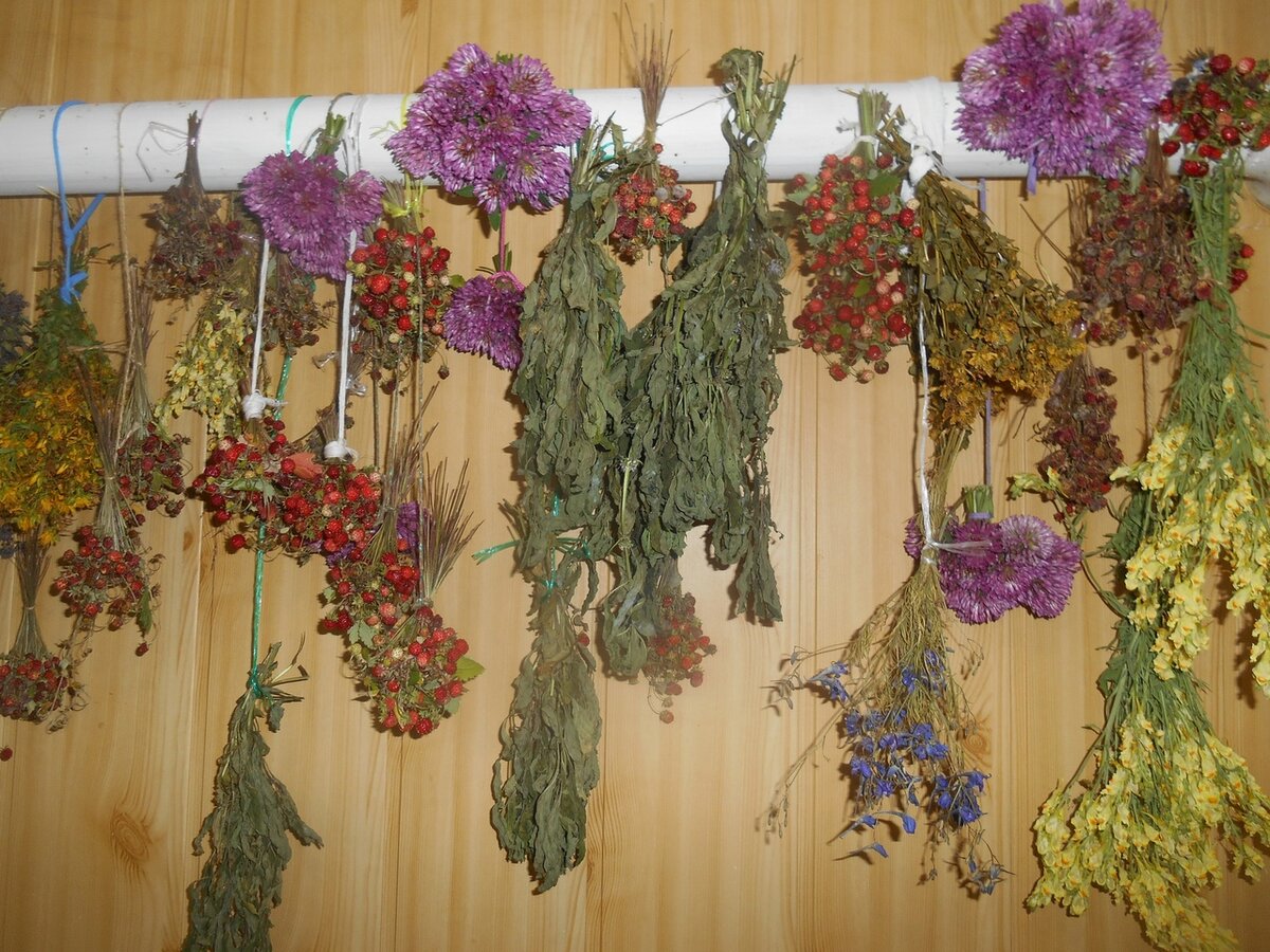 Из этой красоты я готовлю чайные сборы...