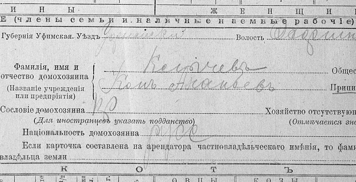 Подворная карточка 1917 года