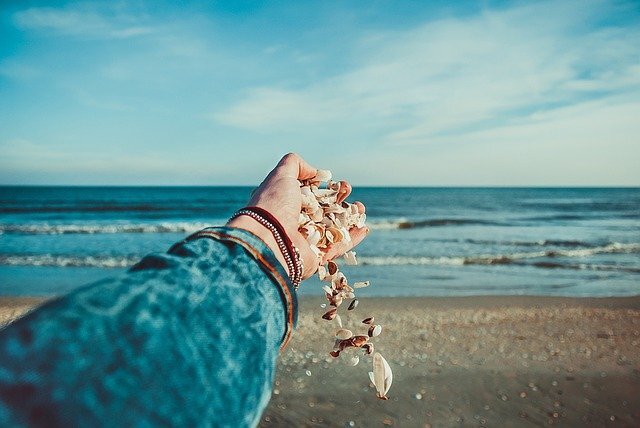 Изображение Free-Photos с сайта Pixabay 