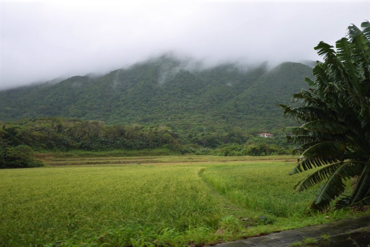На острове Ishigaki