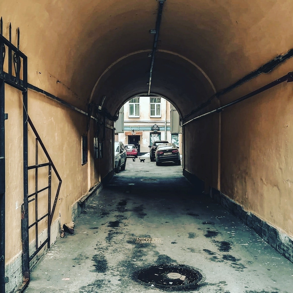 Истории рыжего кота