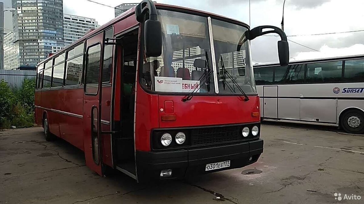 В Москве продают красивый Ikarus 256.75. Но он вряд ли кому-то будет нужен  | Автокультура CARAKOOM | Дзен