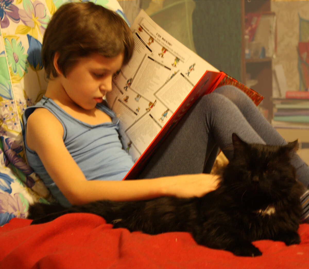 Чтение с котом)