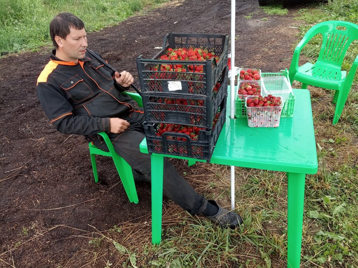 Михаил Шконда, глава Ассоциации фермеров Ленинградской области и Петербурга