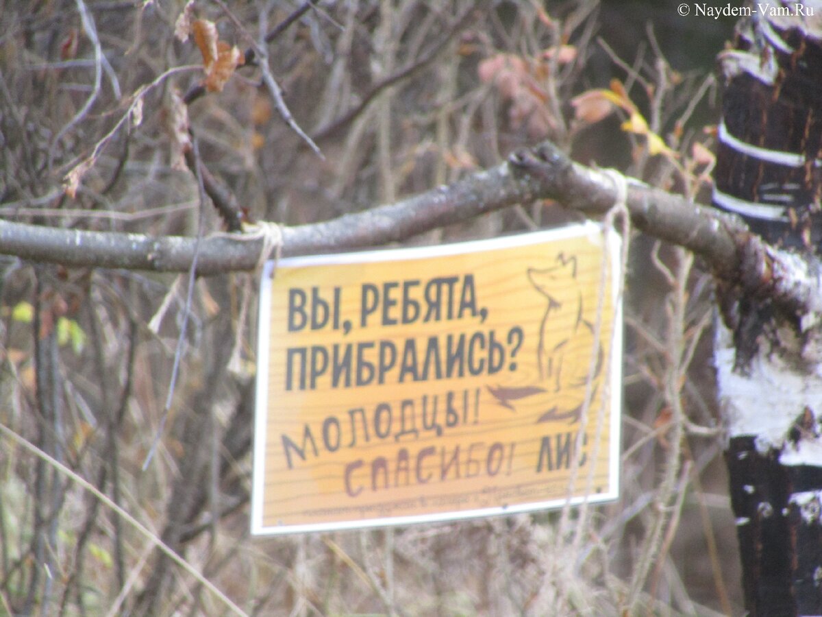 Висит объявление рядом с П/Л Волна Ижевск. Пруд. 01.11.20-2