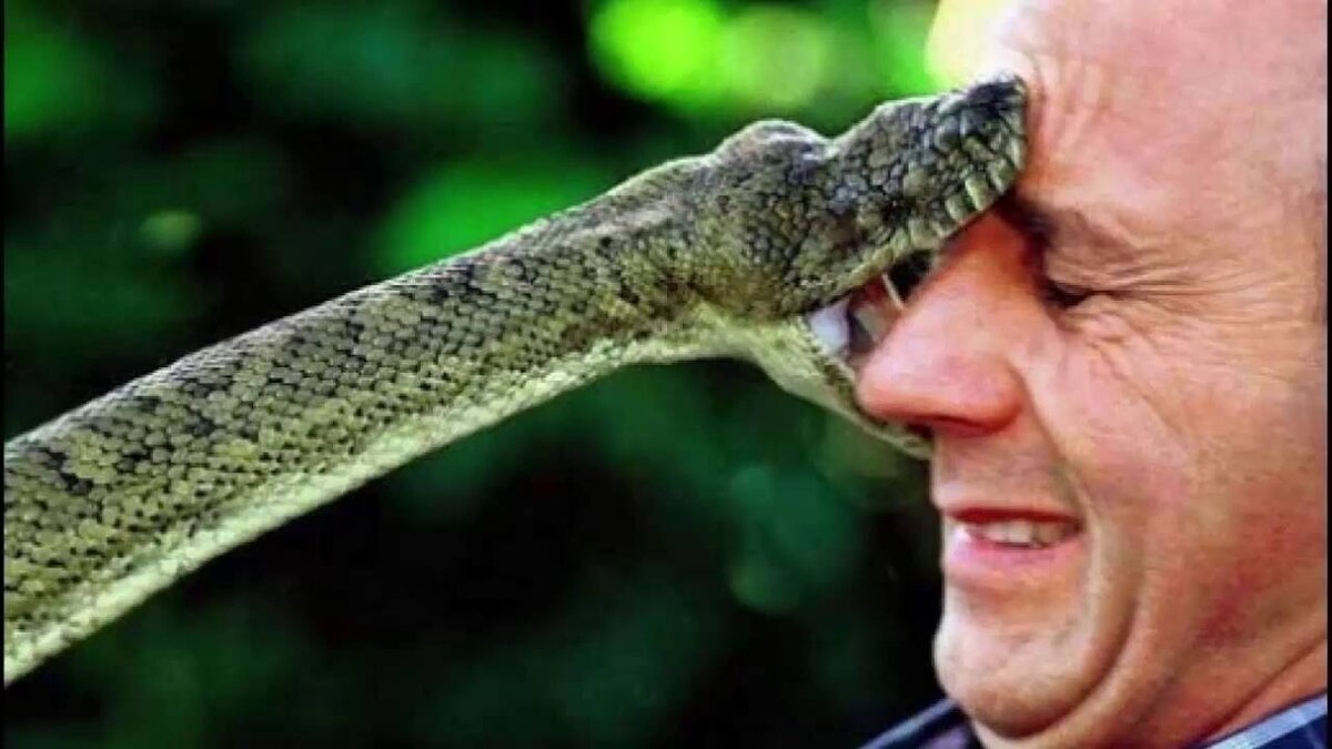 Очень неприятный укус