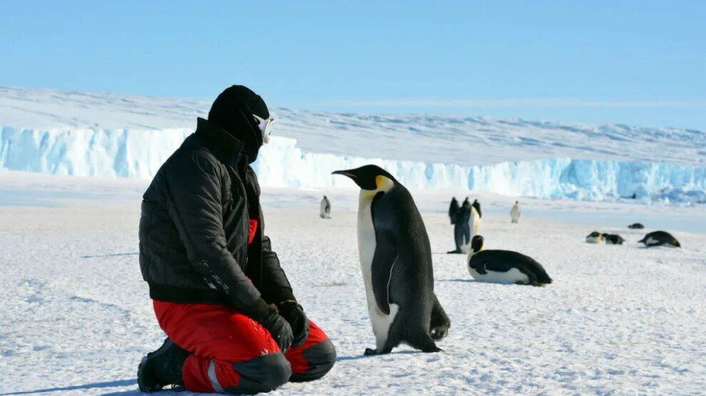 Фото с сайта online-life-in.ru