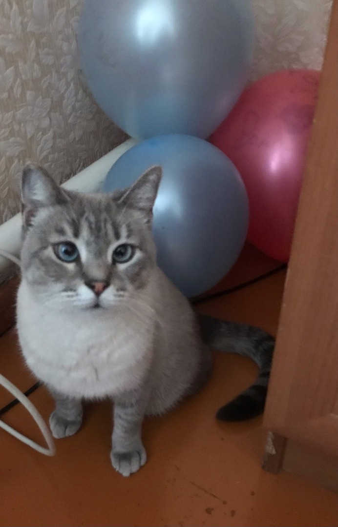 а вот и наша 28-ми летняя красавица