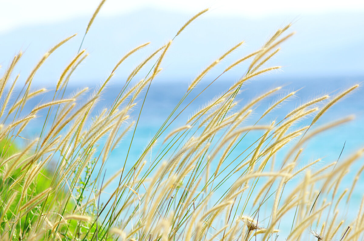 Камера "Pentax K-5"