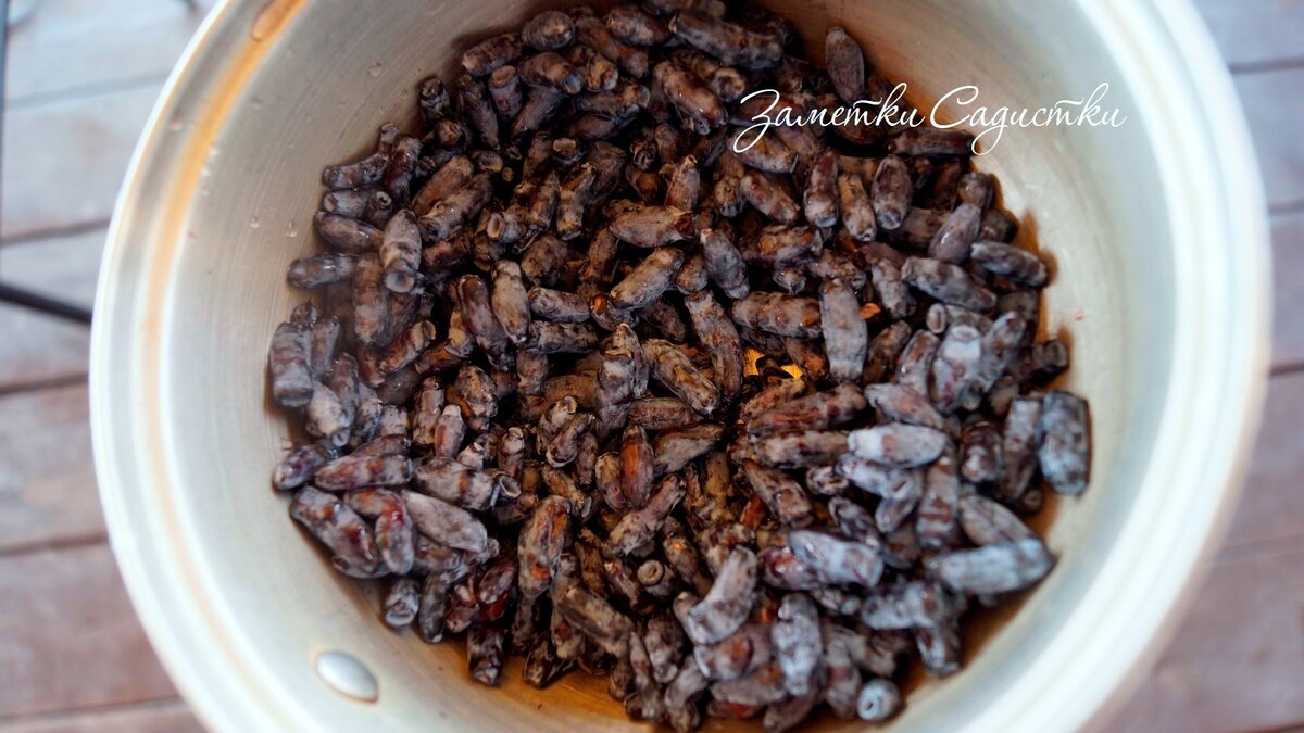 Как сварить варенье из жимолости