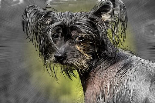 Фото https://pixabay.com/ru/